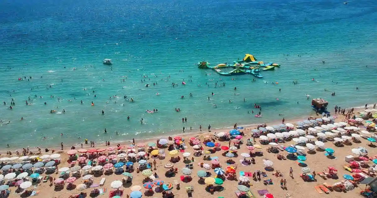 izmir-didim-transfer